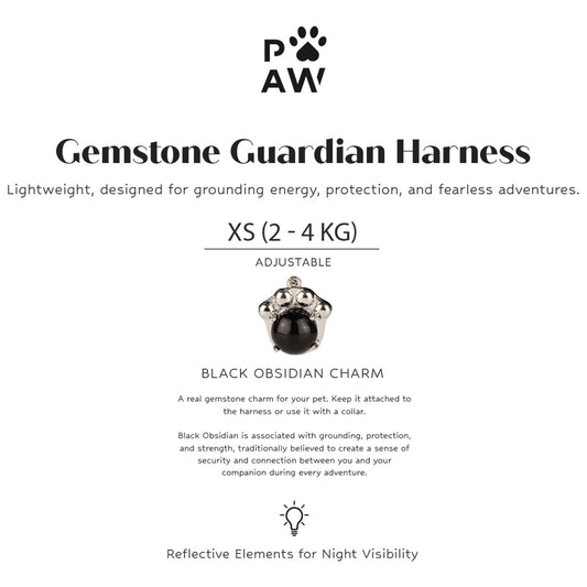 PAW - XS (2-4Kg) Dog Step-in Guardian Harness with Reflective Mesh - Rock Grey - Black Obsidian Charm