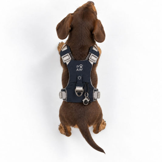 PAW - XS (2-4Kg) Dog Step-in Guardian Harness with Reflective Mesh - Rock Grey - Black Obsidian Charm