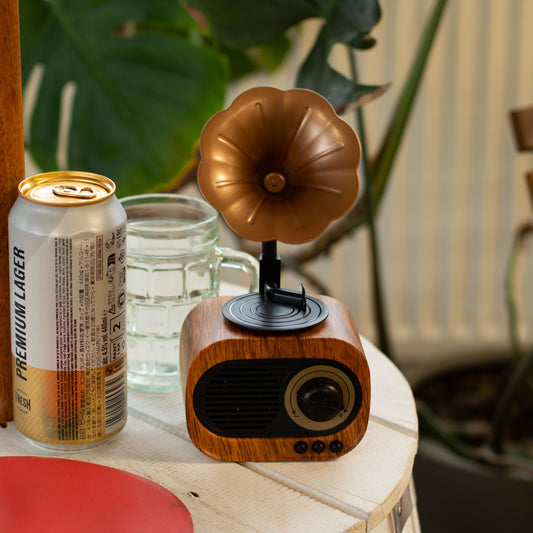 Retro Mini Gramophone Speaker - Bluetooth & FM Radio - 5 watt x 1