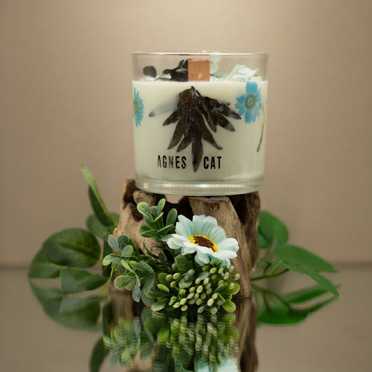 Agnes + Cat Botanical Soy Wax Candle - Seasalt & Moss